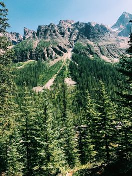Picturesque landscape of rocky mountains in valley covered with green coniferous trees against cloudless blue sky