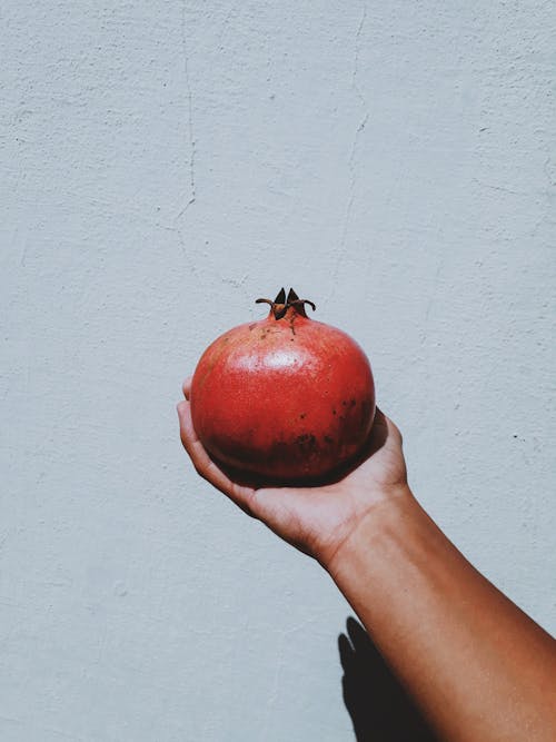 Free Person Holding a Pomegranate in Hand  Stock Photo