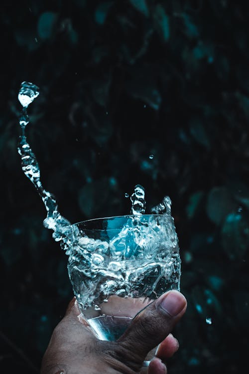 Crop anonymous ethnic person splashing water from glass against lush green leaves of plant