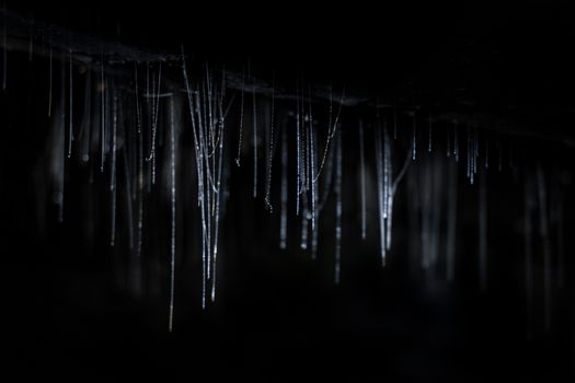 Waitomo glowworm caves day — Rotorua
