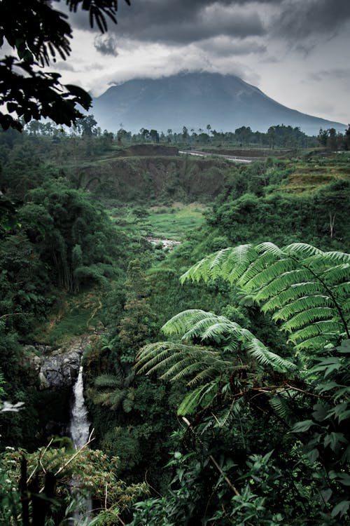 Green tropical valley with waterfall and mountain against cloudy sky