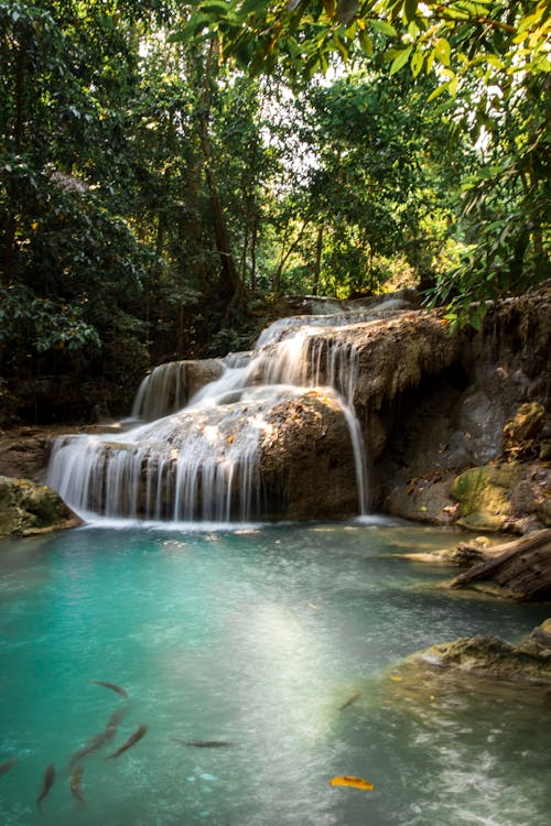 Amazing waterfall flowing into pond in jungle on sunny day