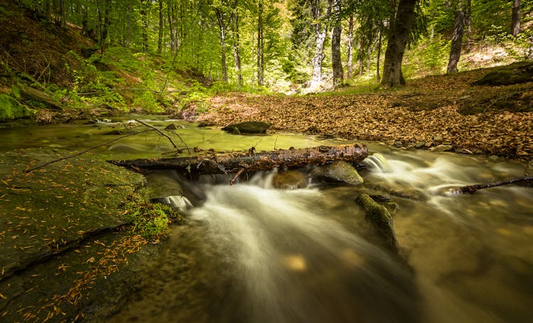 Water Stream