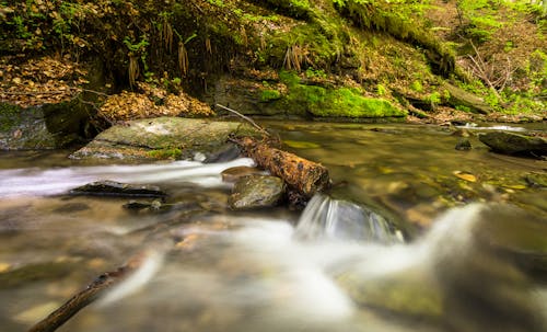 Free Time-lapse Photograph of River Beside Plants Stock Photo