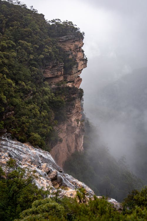 High angle of steep cliff covered with green trees and fog in overcast weather