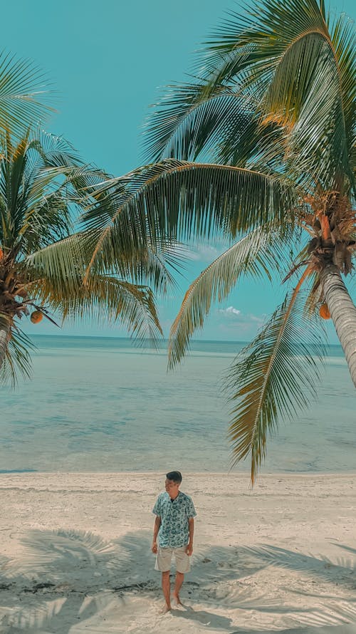 High angle full body of unrecognizable male tourist in casual summer clothes walking on sandy coast near blue sea and high palms