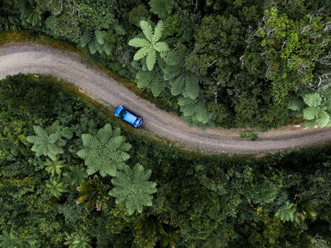 Drone view of winding pathway among green tropical plants with lush greenery growing in jungle
