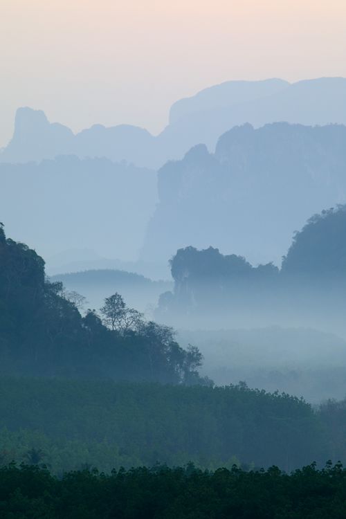 Free Serene misty forest landscape in Khlong Sok, Thailand at twilight, showcasing natural beauty. Stock Photo