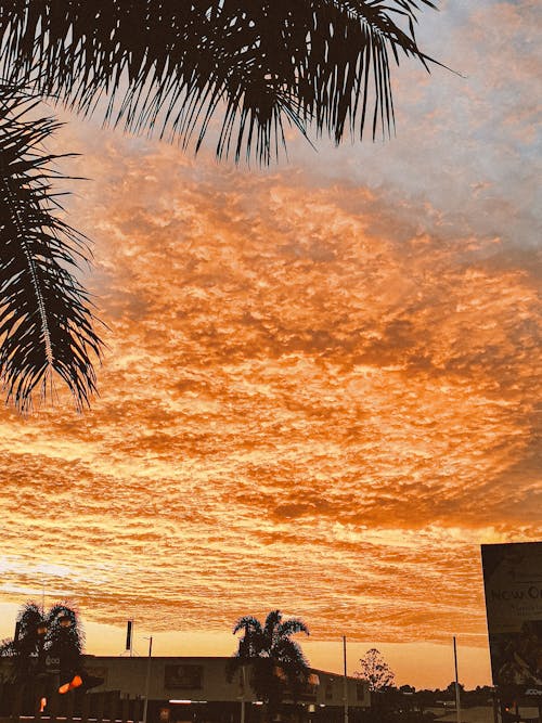 Foto profissional grátis de alegre, atmosfera, cair da noite