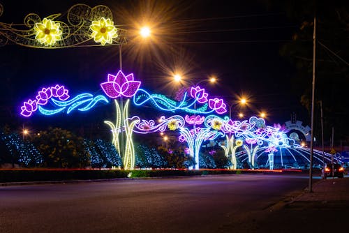 Kostnadsfri bild av blomma neon, gata, lampor