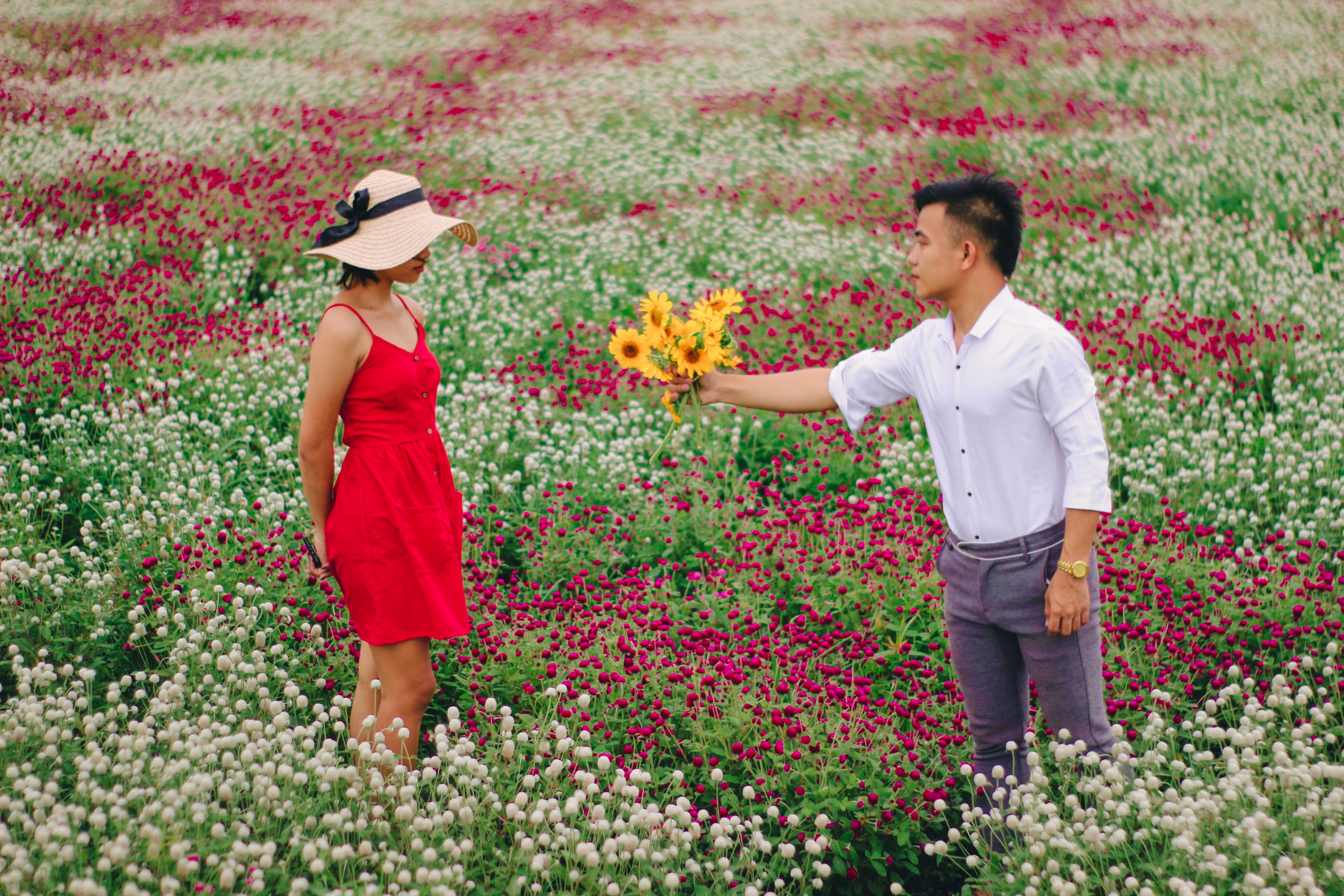 A Man and a Woman Standing in the Flower Field · Free Stock Photo