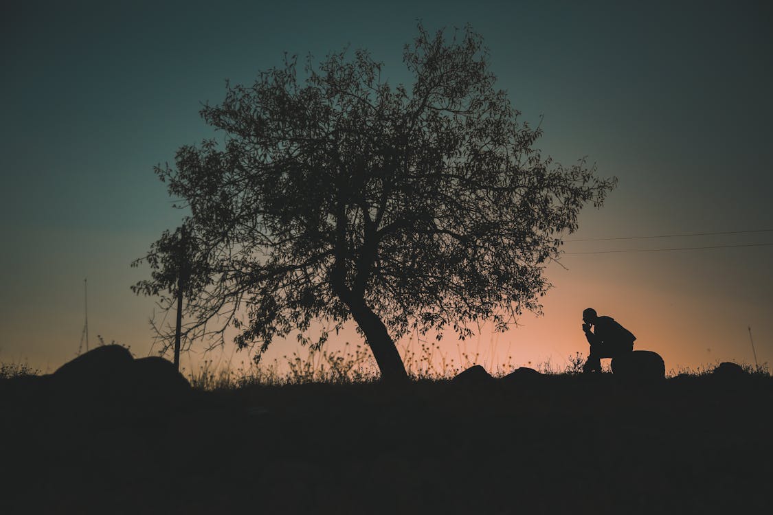 resting under a tree