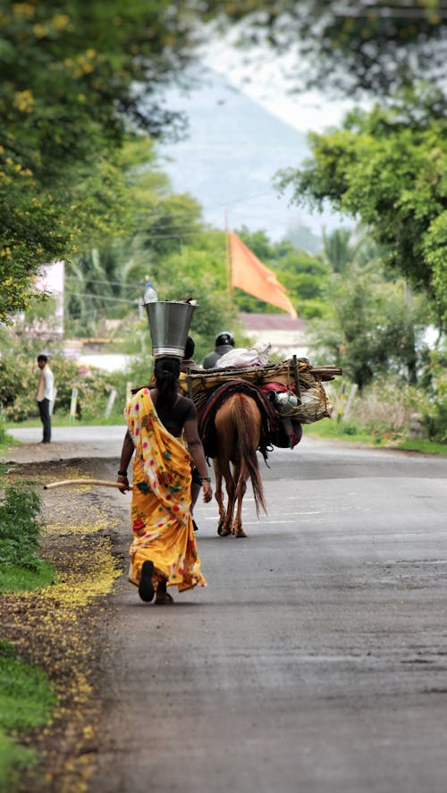 Foto stok gratis adat istiadat, agrikultura, aktif