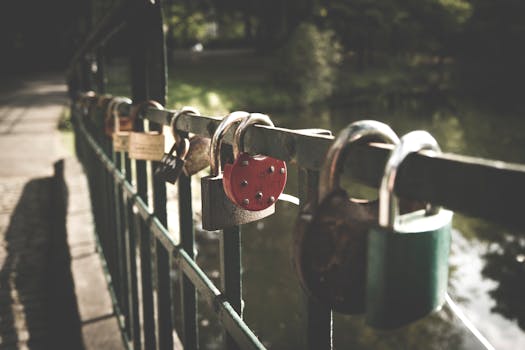 公园桥栏杆上挂着风景如画的爱情锁，背景是优美的自然风光