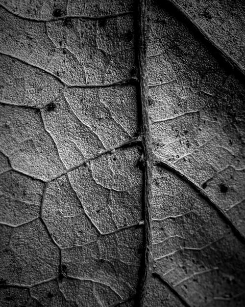 Pattern of Stone Wall