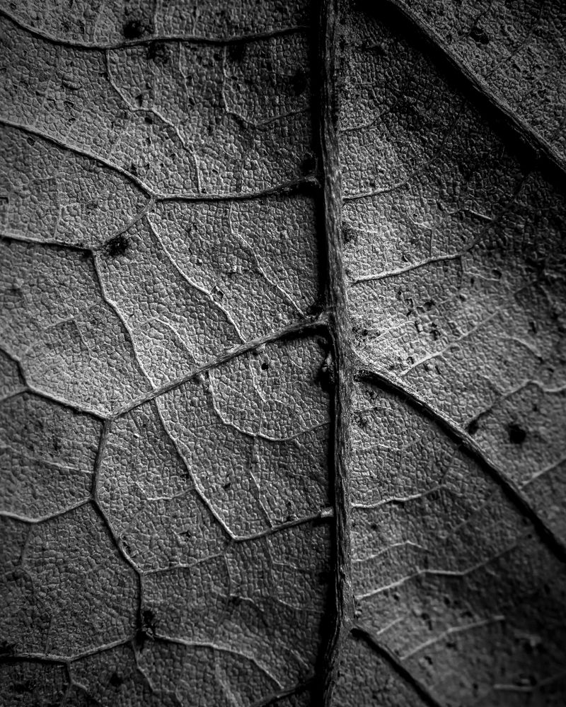 Structure In Nature Photos, Download The BEST Free Structure In Nature ...