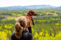 Woman in Gray Shirt and Black Pants Carrying Brown Short Coated Dog
