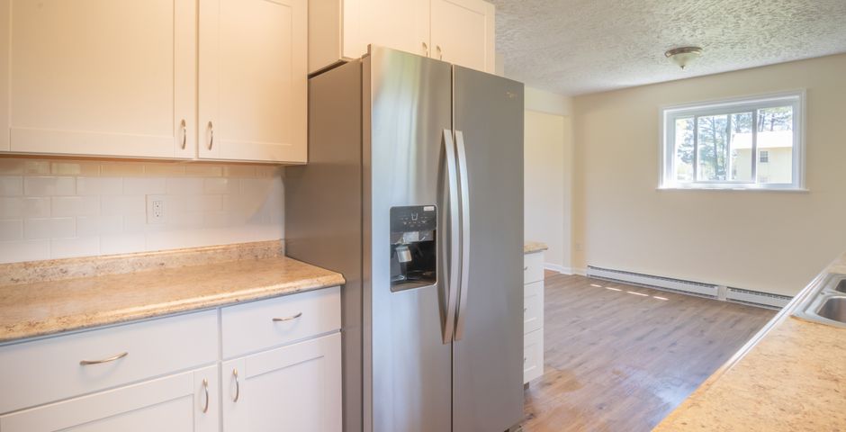 An empty modern kitchen — the drains, sink gaps and cabinet corners are the first pest check