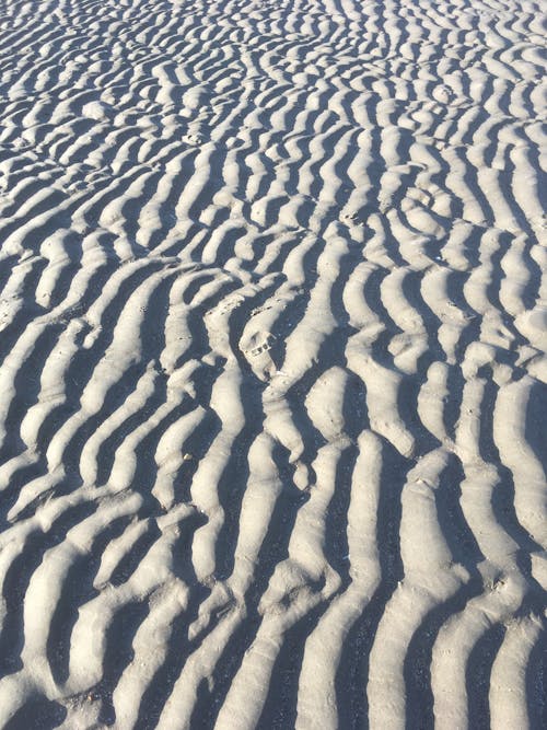 Gratis lagerfoto af strand