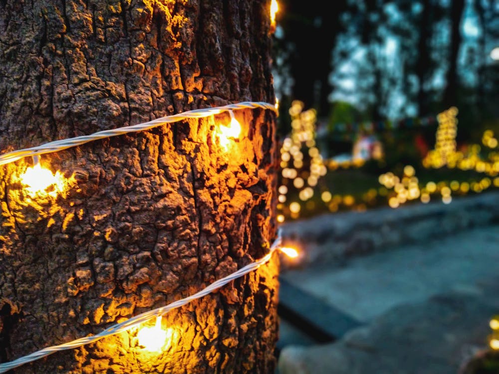 Бесплатное стоковое фото с блестит, дерево, искусственный свет