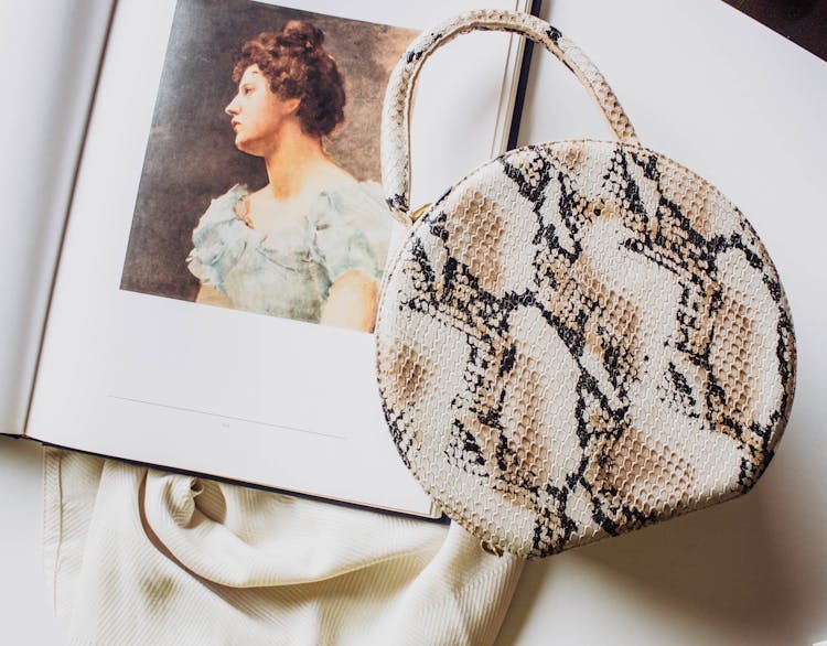 Snakeskin Handbag On Top Of An Open Book