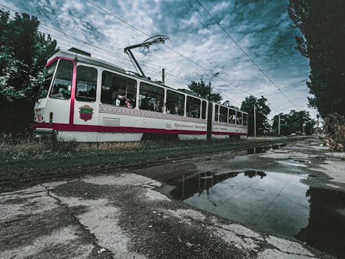 Tram riding on railroad near puddles of water and green trees under cloudy sky