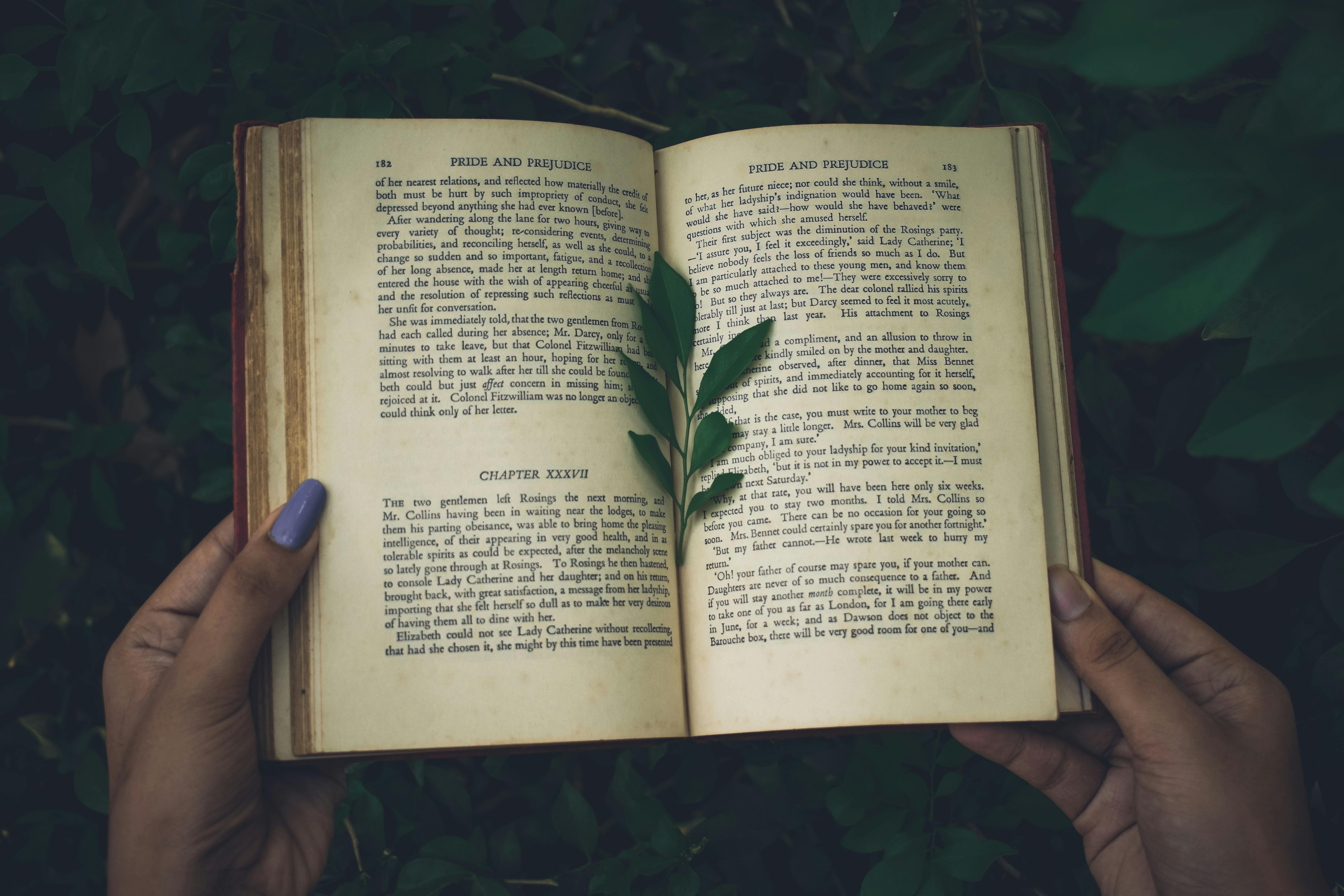 Is 50 too old to learn a language?