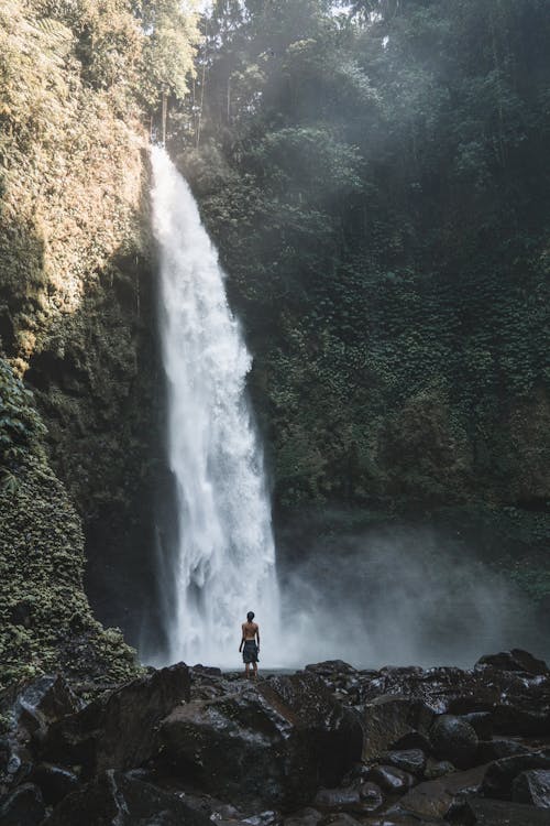 Back View of a Person Standing on Rocks near the Waterfalls