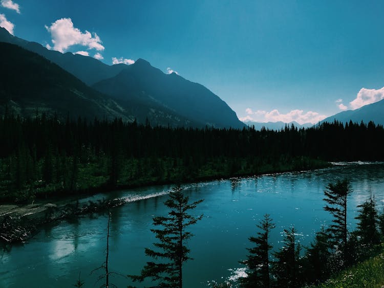 Calm River Surrounded Dark Forest In Mountain Terrain