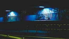 桥下的夜间涂鸦以充满活力的色彩和街头艺术照亮城市