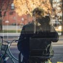 Man taking photos on photo camera from outside through glass