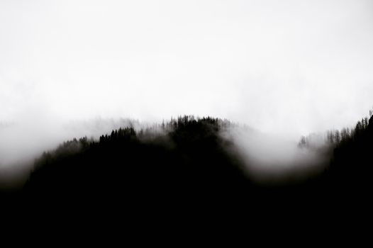 Black and white minimalist silhouette of mountain ridge covered with trees in dense white fog