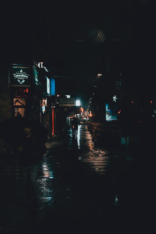 People Walking on Street during Night Time