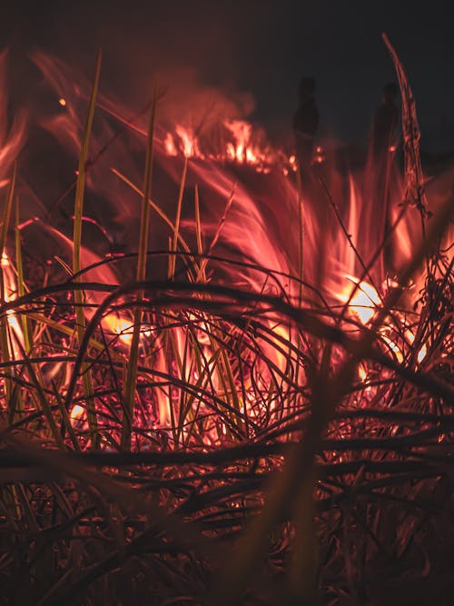 Gratis lagerfoto af aften, brændt, brand