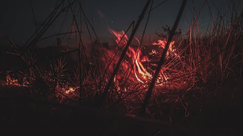 Silhouette of Grass Burning during Night Time