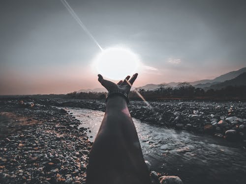 Free Person Hand Reaching for the Sun Stock Photo