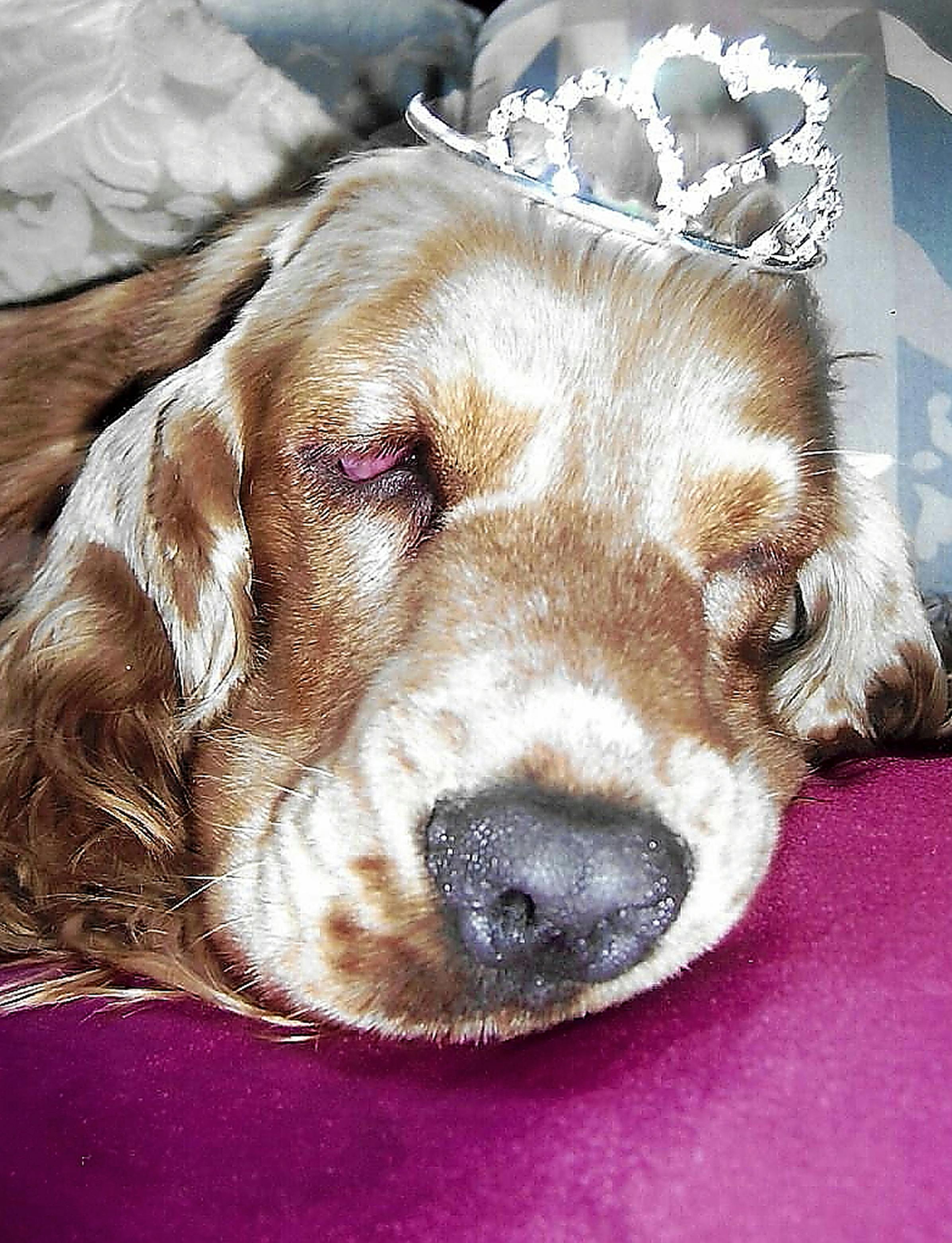 Detailed map highlighting travel route between Istanbul and Cappadocia