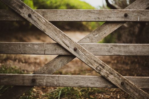 DIY Wooden Garden Gate Plans: A Step-by-Step Guide for Outdoor Decor