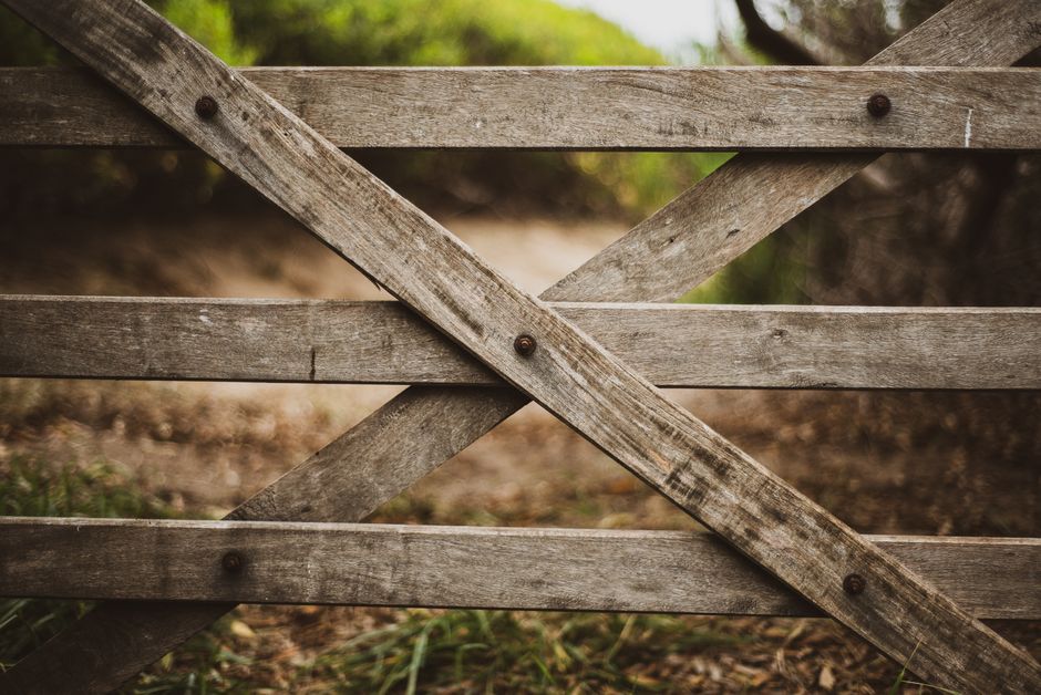Why DIY Garden Fencing Can Save You Money and Time
