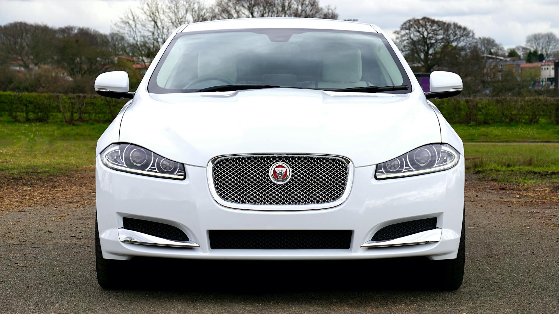 Front view of a white Jaguar XF luxury car parked in an outdoor setting in the UK.