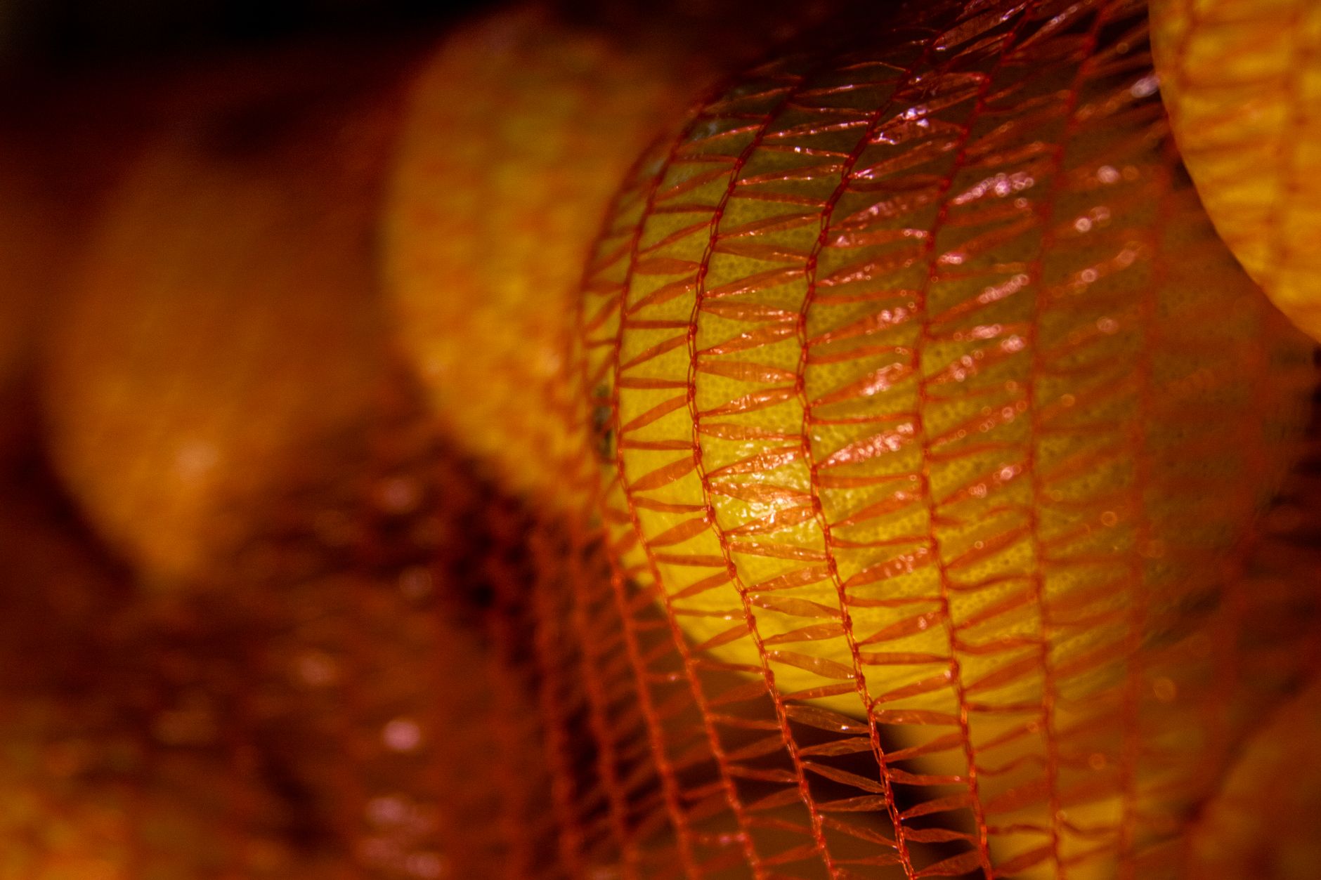 glowing network on food