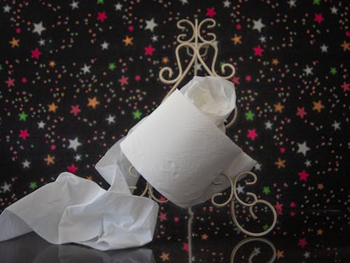 A Toilet Paper on a Metal Craft