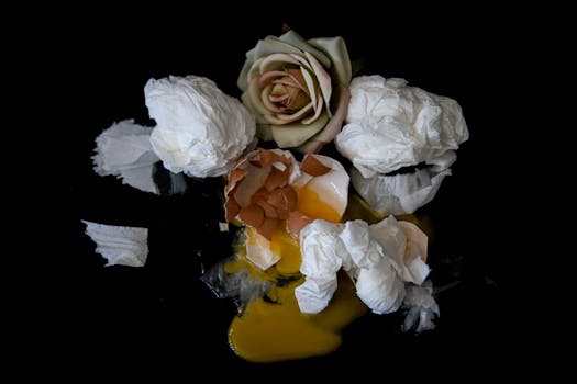 Creative still life image of rose, egg yolk, and crumpled tissues on a dark background.