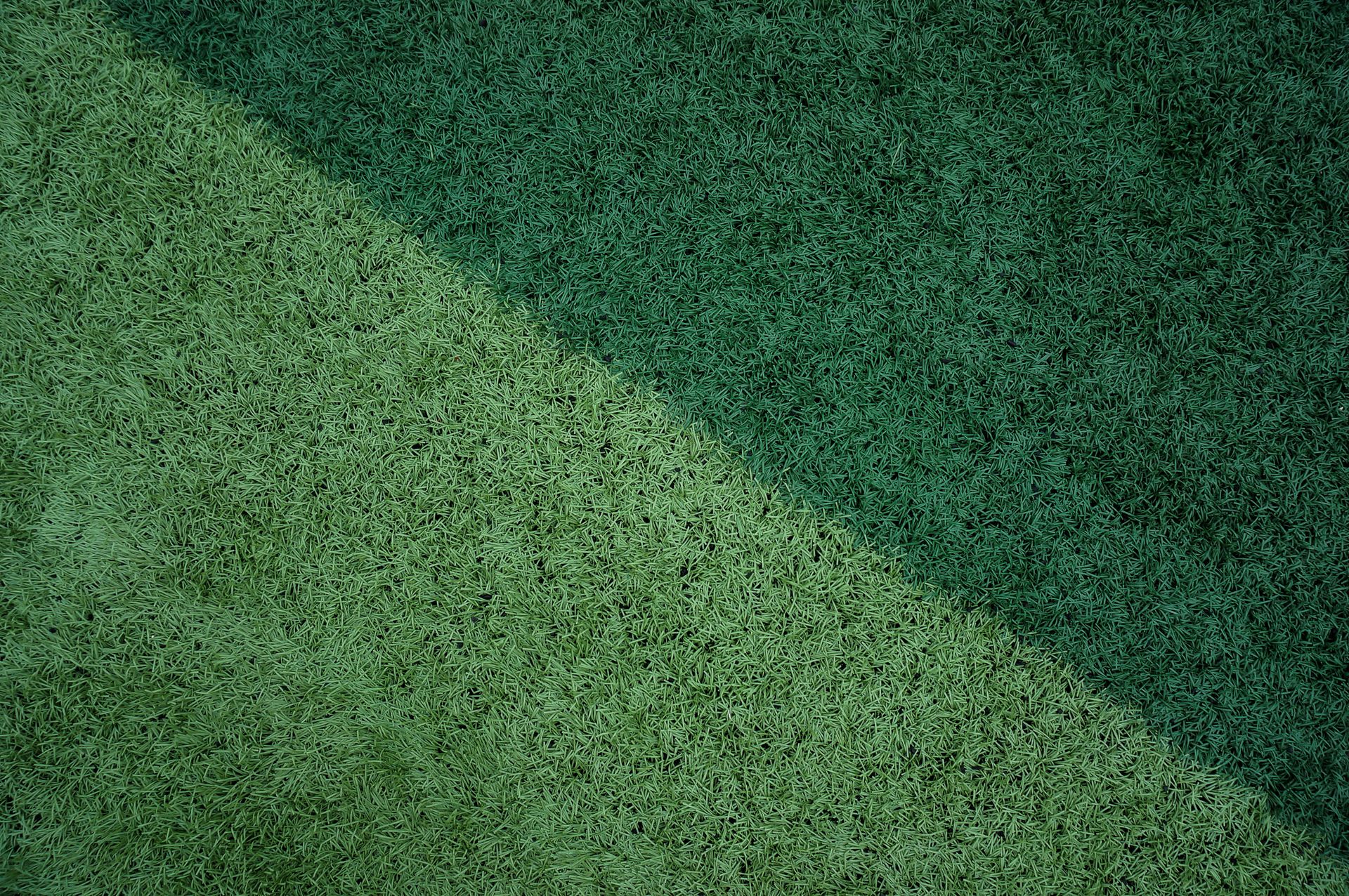 Green Grass Surface
