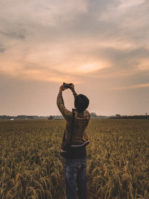 Gratis stockfoto met achteraanzicht, bewolkte lucht, foto nemen