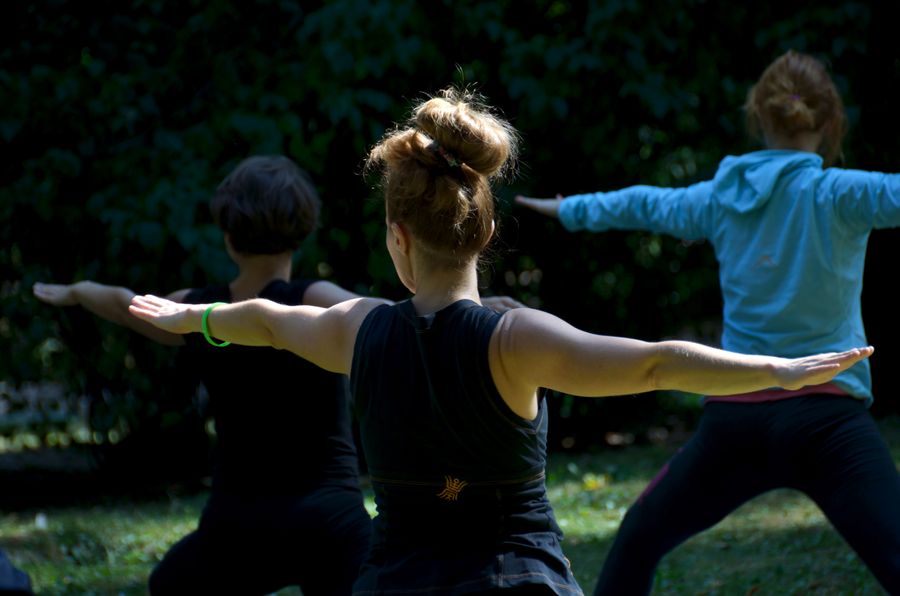 Group practising yoga poses together in a sunny park