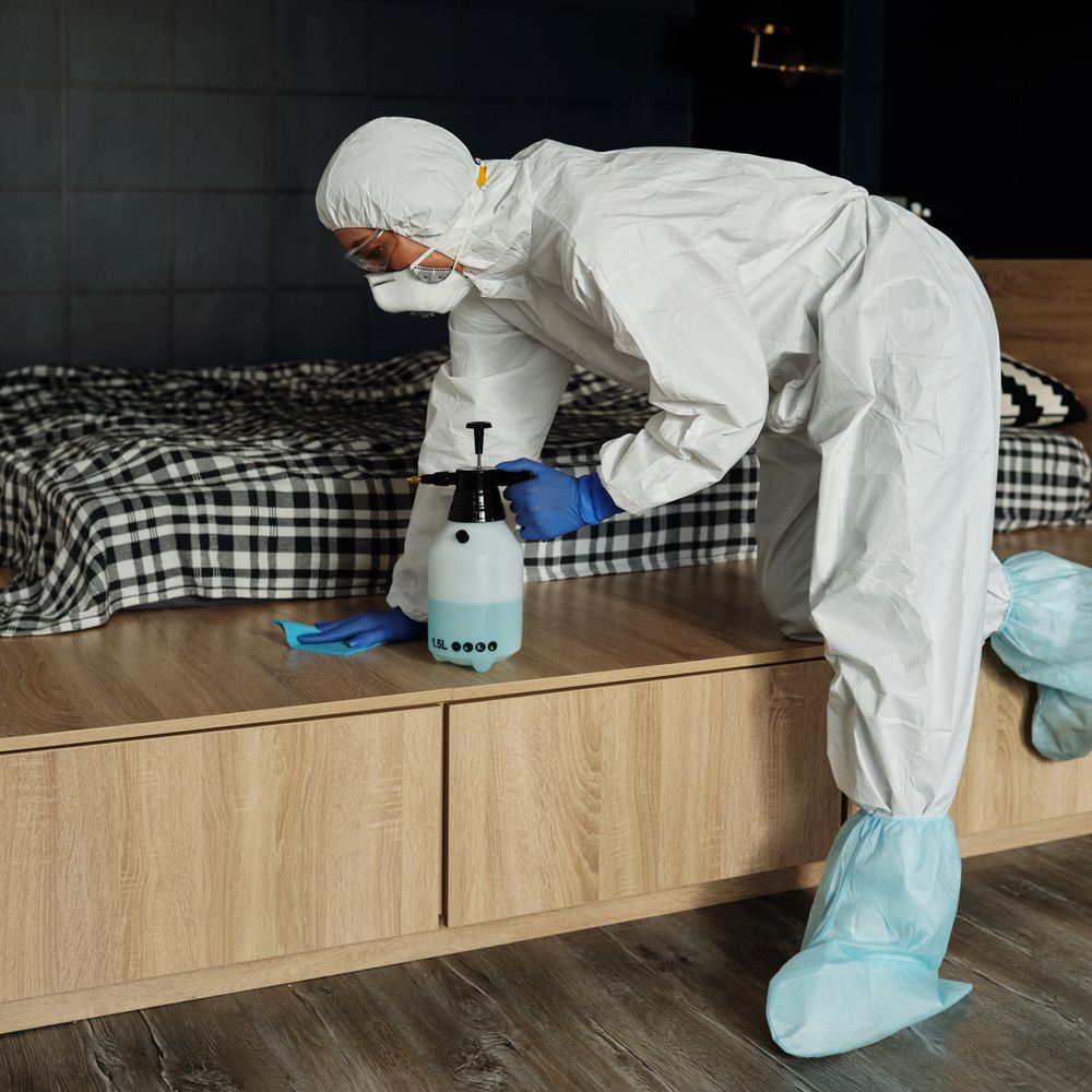 Kitchen Spraying in Islington — surfaces prepped and cut in by hand