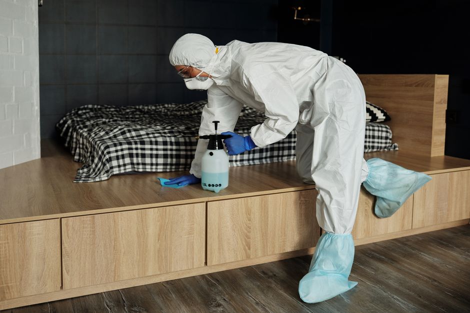 after exterminator sprays for bed bugs