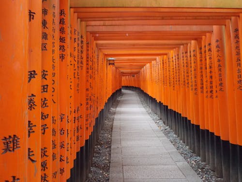 Empty traditional Japanese torii gates with hieroglyphs leading to ancient Fushimi Inari taisha shrine located in Kyoto