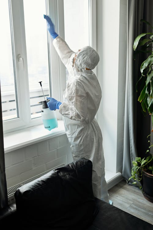 A Person Cleaning the Glass Window